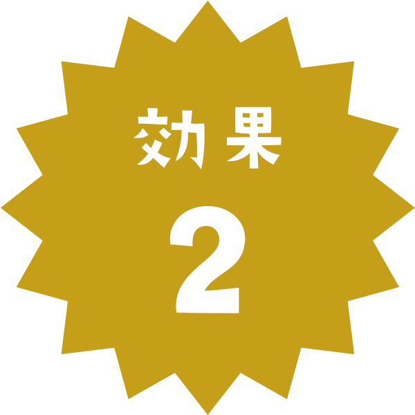 効果2