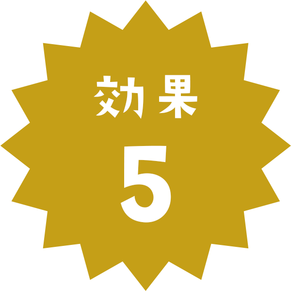 効果5