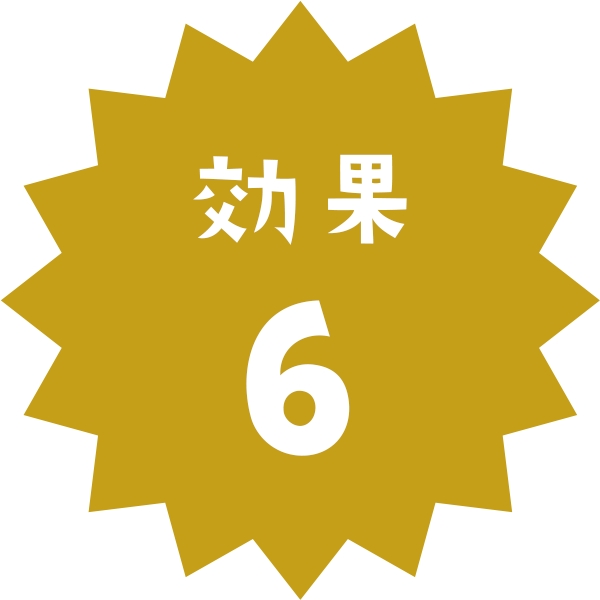 効果6